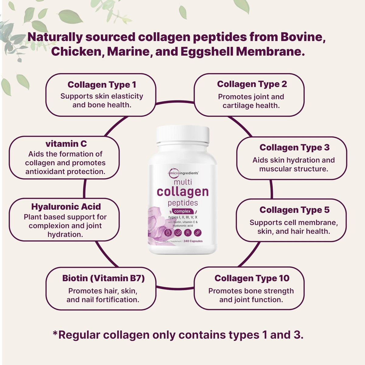 Micro Ingredients Multi Collagen Complex – 240 Capsules